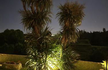 Casa da Leira - Foto 62