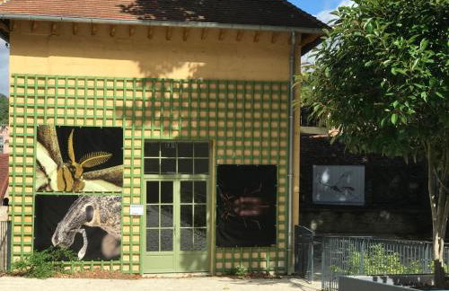 Charmante maison bourguignonne avec grand jardin et parking - Foto 37