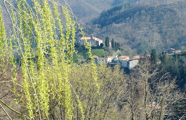 Agriturismo Selvapiana - Foto 60