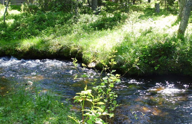 7 Person Holiday Home in Salen-by Traum - Foto 20