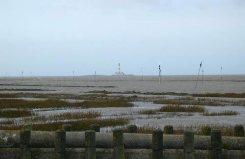 FEWO auf dem Lande / nahe SPO - Foto 157