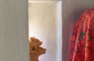 Delightful Cottage facing the vineyard - Foto 17