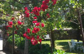 Quinta de Malta - Foto 106