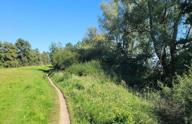 Ferienhof Neuendorfkrug, Lutow - Foto 35