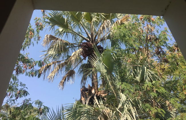 Peo Luxury Apartments - Foto 28