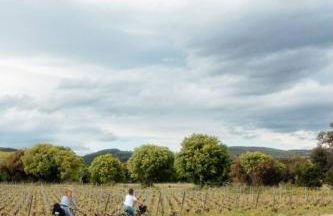 Charming House In An Organic Wine Estate - Foto 4