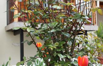 Domus Inn - Photo 44