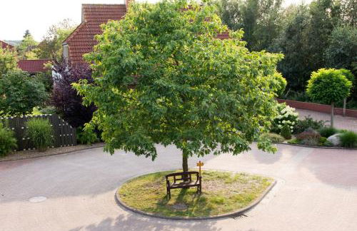 Komfortable Apartments in der Villa Eule - Foto 23