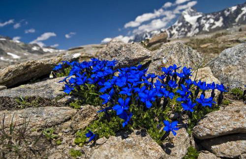 Alpine Blue Apartments - Foto 29