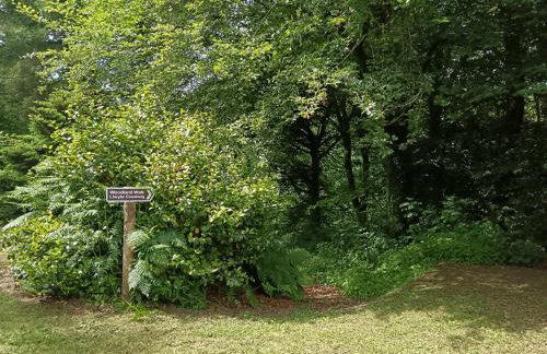 Blaenfforest Rose Cottage Newcastle Emlyn - Photo 23