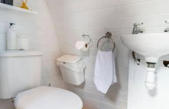 Robin Nest - Cosy Shepherd's Hut Hideaway - Photo 8