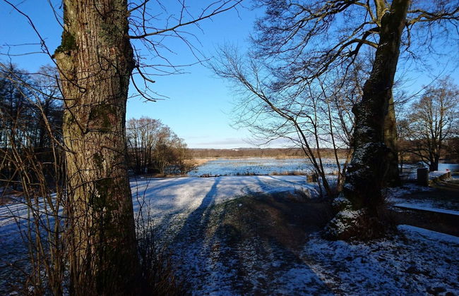 10 Person Holiday Home in Ry - Photo 58