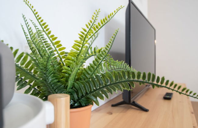 Apartamento La Goleta - Foto 31