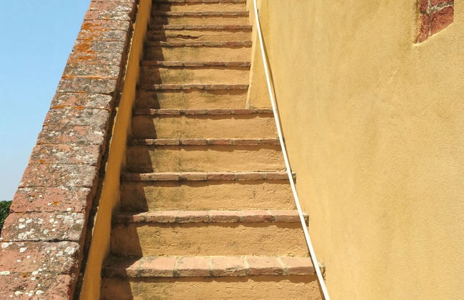 Carbonaia (PAA134) - Foto 17