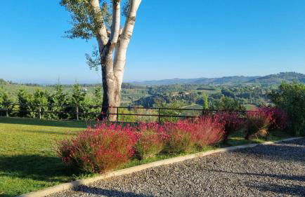 Tenuta Tegolato - Foto 142