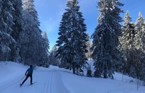 Studio avec belle vue proche du lac Genin Echallon - Photo 15