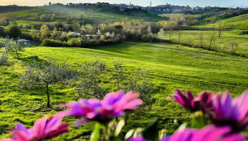 Agriturismo La Corte del Sole - Foto 4