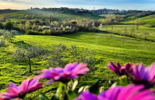 Agriturismo La Corte del Sole - Foto 3