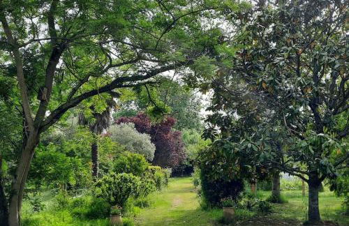 Maison de campagne avec jardin - Foto 18