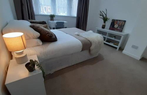 Free Parking Spacious Home - Photo 30