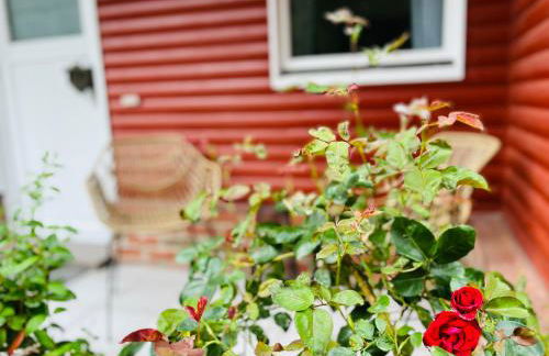 Dat Blockhus am Diek - Foto 1