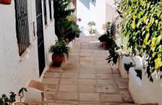 Calamedina 4 - Foto 40