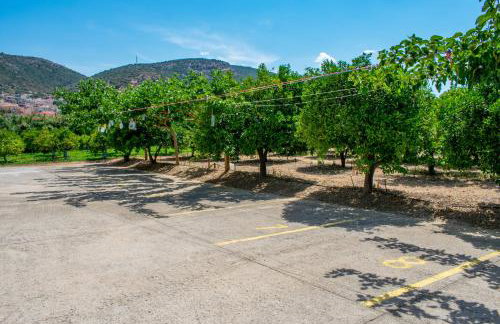 ΑΚΤΗ ΞΟΒΡΙΟΣ - Photo 33