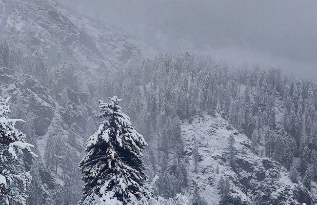 Sky Mount Cottage - Foto 41