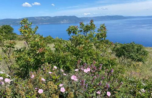 Villa Castelina - Foto 29