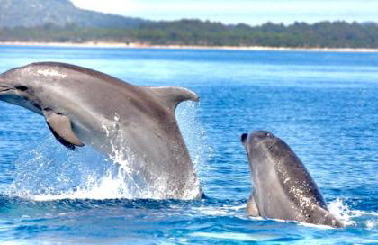 Beautiful view apartment with garage space - Photo 24