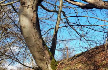 Home&Classic Erlebnisscheune - Photo 59