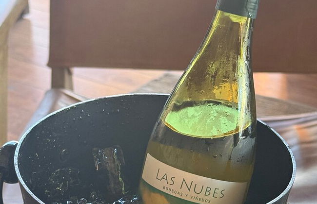 Private Deluxe Wine Tour to Valle de Guadalupe by Luxury Vehicle - Photo 16