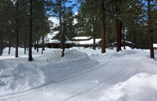 Sisters Dream Inn - Photo 20