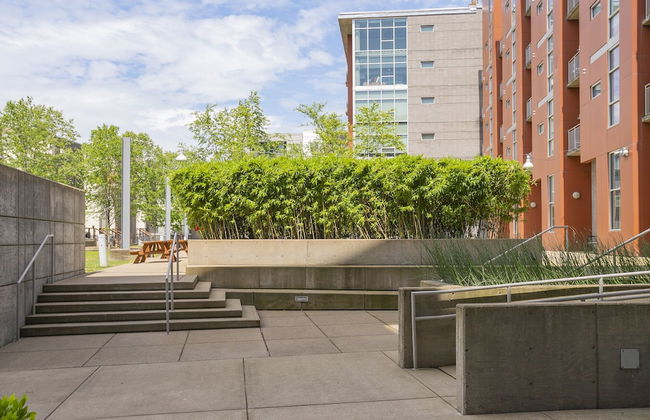 Unfurnished Condo | Amazing Layout with Balcony and In-building Storage Unit - Foto 41