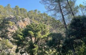 Casa Rural Las Nogueras - Foto 34