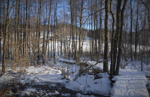 Chata nad Dziką Orlicą z jacuzzi - Foto 52