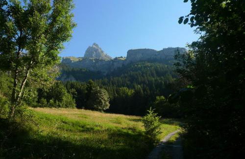 Location de charme 4 étoiles à Passy - Foto 24