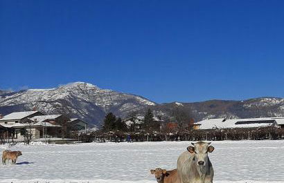 Agriturismo Fior Di Campo - Foto 23