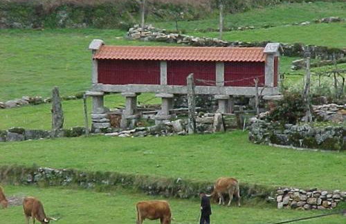 Casa de Campo Monte Abades - Foto 51