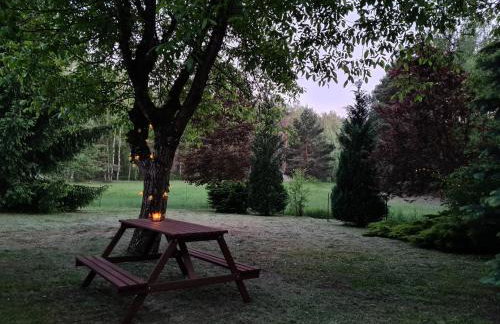 Domek w Lesie Bory Tucholskie - Foto 24