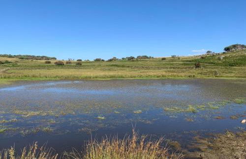 Casa do Terrado - Photo 28