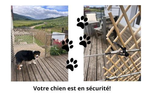 Au pied des vignes - Foto 33