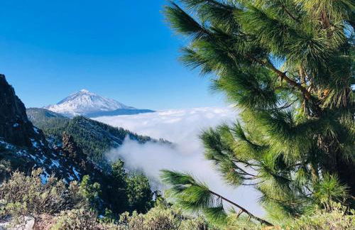 Marina palace - Foto 23