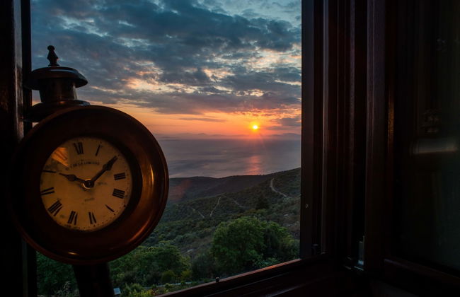 Eden Concept - Foto 17