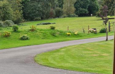 Cosy couples bolthole heart of Brecon Beacons - Photo 17