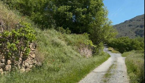 Casa Vilariça - Foto 3