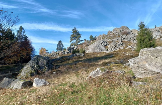 Schones Ferienhaus mit Grossem Garten bei Stadlern - Foto 35