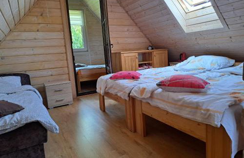 Domki Borowiackie nad brzegiem jeziora - Foto 13