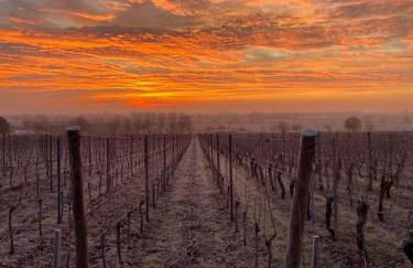 Un petit coin d’Alsace - Foto 25