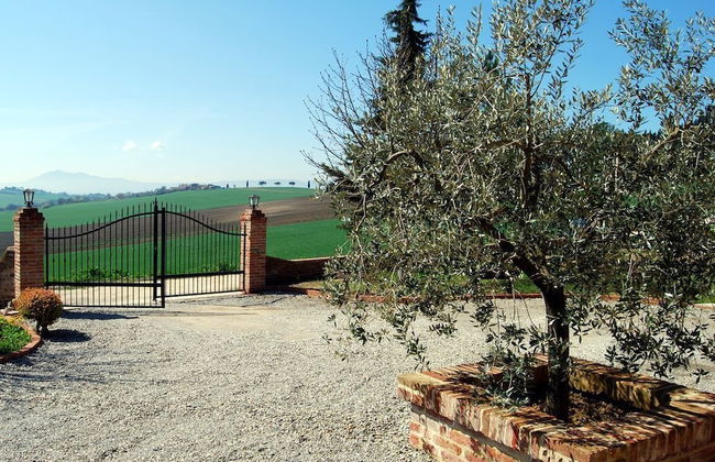 La Contea - Photo 16